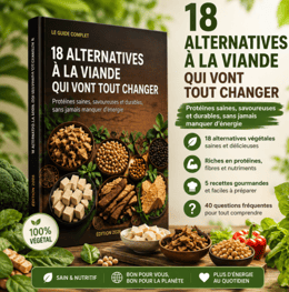 18 ALTERNATIVES À LA VIANDE QUI CHANGENT TOUT