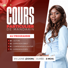 💫MANDARIN ELITE 3.0 - COURS PARTICULIER✨