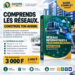 Réseaux Informatiques & Télécommunications : comprendre , maîtriser , construire sa carrière