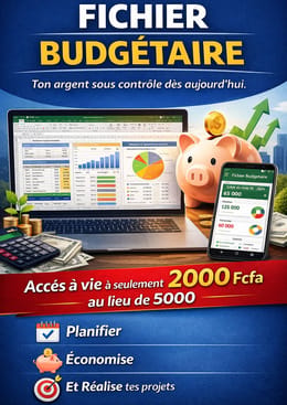 Fichiers Budgétaires mensuels
