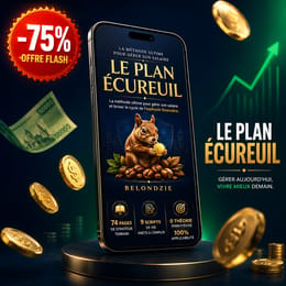 La Methode Ultime Pour Gerer Son Salaire - Le Plan Ecureuil - Belondzie 2026