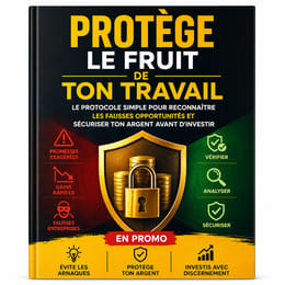 Protège Le Fruit De Ton Travail : Éviter Les Arnaques Et Sécurise Ton Argent Avant D’Investir