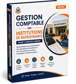 GESTION COMPTABLE DES INSTITUTIONS DE MICROFINANCE DANS L'ESPACE UEMOA