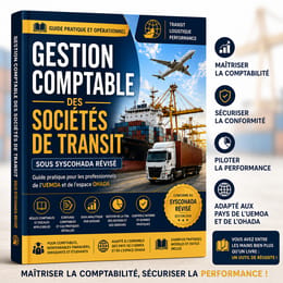 GESTION COMPTABLE DES SOCIÉTÉS DE TRANSIT SOUS SYSCOHADA RÉVISÉ