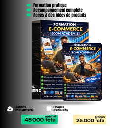 Maîtrisez l'E-commerce Formation Individuel