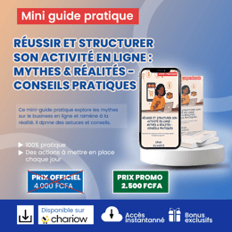 REUSSIR ET STRUCTURER SON BUSINESS EN LIGNE - MYTHE ET REALITES