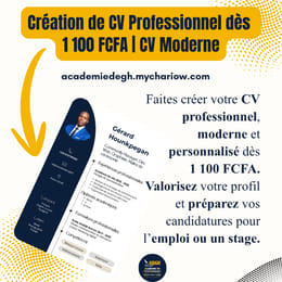 Création CV Professionnel au Bénin dès 1 100 FCFA | CV Moderne