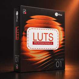 PACK LUTS PROFESSIONNELS