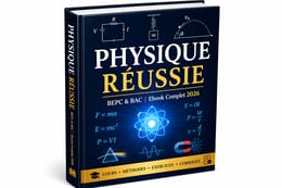 De 0 à 20 en Physique – Le Secret des Élèves Forts