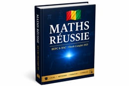 De 0 à 20 en Maths – Le Secret des Élèves Forts
