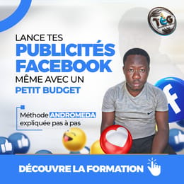 Lance enfin tes publicités Facebook sans te ruiner !