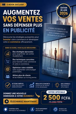Comment augmenter les ventes de son commerce et de son e-commerce sans dépenser plus en publicité