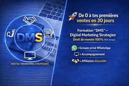 DMS-DIGITAL MARKETING STRATEGIE droit Revente 100% de profis (PDF inclus )🚀
