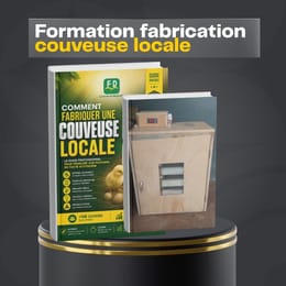 Formation fabrication couveuse locale