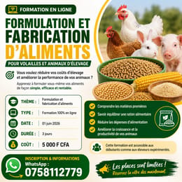 FORMATION EN LIGNE : FORMULER ET FABRIQUER SOS PROPRES ALIMENTS