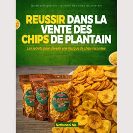 réussir dans la vente des chips de plantain
