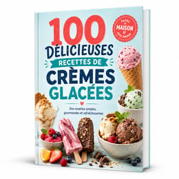 100 Délicieuses Recettes de Crèmes Glacées
