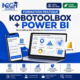 De la Collecte au Dashboard : KoboToolbox & Power B