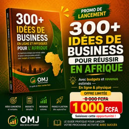 300+ Idées de Business en Ligne et Physiques pour l'Afrique