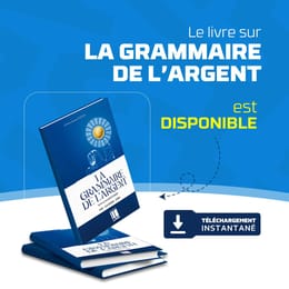 LA GRAMMAIRE DE L'ARGENT