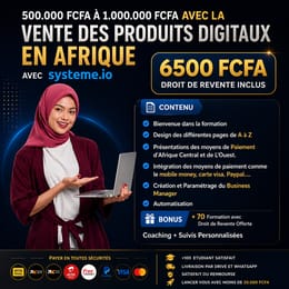 Droit de Revente : FORMATION COMPLÈTE POUR CRÉER ET GÉRER VOTRE BUSINESS DIGITAL AVEC Système.io 🚀