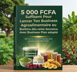 5 000 FCFA de budget pour Lancer Ton Business Agroalimentaire dès Cette Semaine