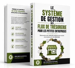 LE SYSTÈME DE GESTION DES FLUX DE TRÉSORERIE POUR LES PETITES ENTREPRISES