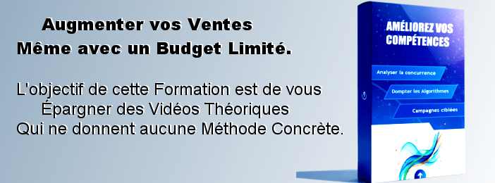 Le Système Complet pour Vendre sur Facebook sans Perdre de l’Argent