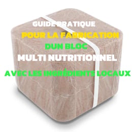 GUIDE PRATIQUE POUR LA FABRICATION DUN BLOC MULTI NUTRITIONNEL AVEC LES INGREDIENTS LOCAUX