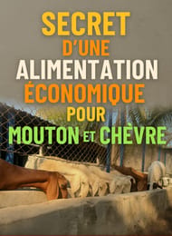 SECRET D’UNE ALIMENTATION ÉCONOMIQUE