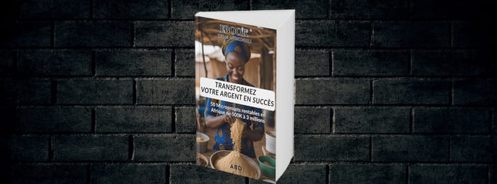 Ebook : TRANSFORMEZ VOTRE ARGENT EN SUCCÈS, 50 projets rentables en Afrique à partir de 500.000 FCFA