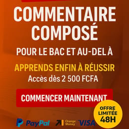 Commentaire Composé (MÉTHODE FINALE)