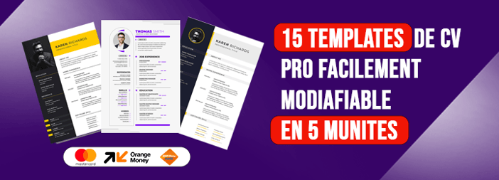 15 TEMPLATES DE CV PRO FACILEMENT MODIAFIABLE