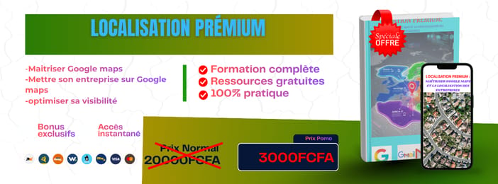 Localisation Premium : Maîtriser Google Maps pour la Localisation des  Entreprises