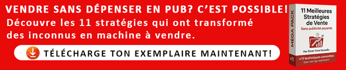 11 Meilleures stratégies de vente sur internet sans publicité payante