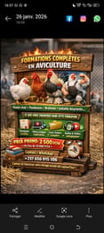 Formations compléte en aviculture