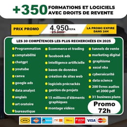 Pack de 350 produits digitaux