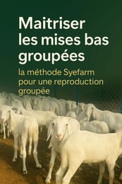 MAÎTRISER LES MISES BAS GROUPÉES LA MÉTHODE QUE SYEFARM PROPOSE POUR OBTENIR LES MISES BAS GROUPÉES