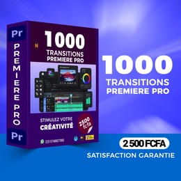 1000 TRANSITIONS PROFESSIONNELLES PREMIERE PRO