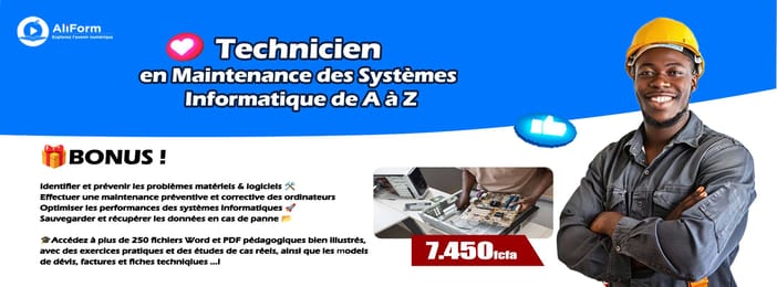 Technicien en Maintenance des Systèmes Informatique de A à Z