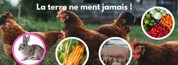 🌾 PACK AGRO-PASTORAL &  jus de fruit