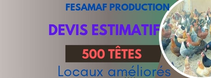 Devis 500 locaux amélioré