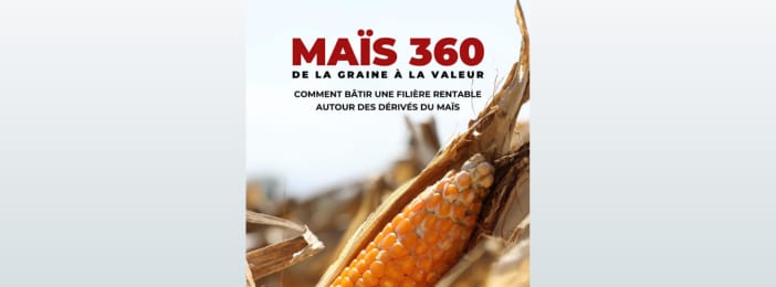Maïs 360 - De la graine à la valeur