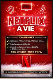 Netlix a vie