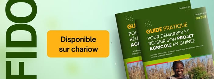 Guide pratique pour démarrer et réussir un projet agricole en Guinée