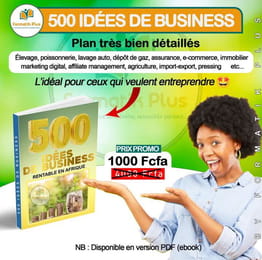 500 Idées de Business plan bien détaillé