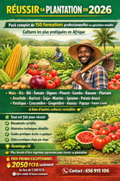 Pack : 150 guides techniques agricoles