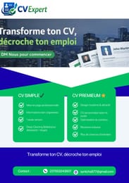 CV parfait
