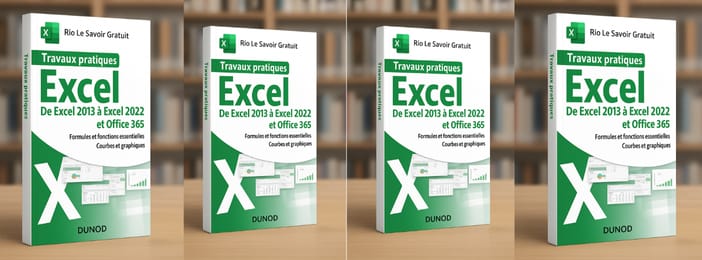 Travaux pratiques Excel : De Excel 2013 à Excel 2022 et Office 365