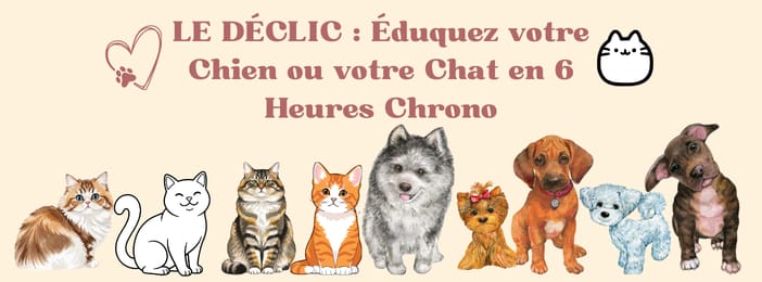 LE DÉCLIC : Éduquez votre Chien ou votre Chat en 6 Heures Chrono